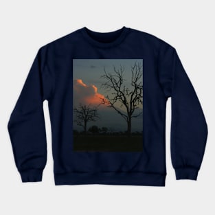 African Trees Dusk Crewneck Sweatshirt